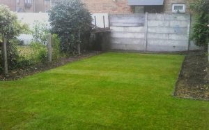 Turfing Services London